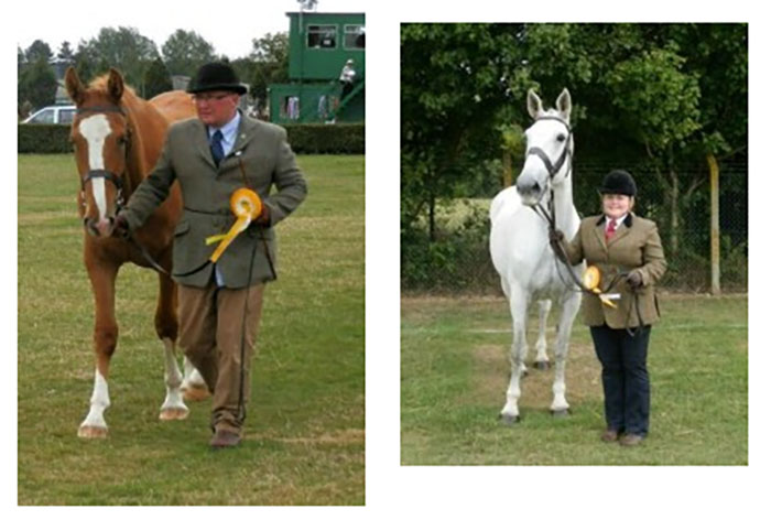 Irish Horses